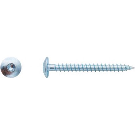 Vis pour penture Torx® Zingué - 6 x 30 mm - BIVI (1/2)