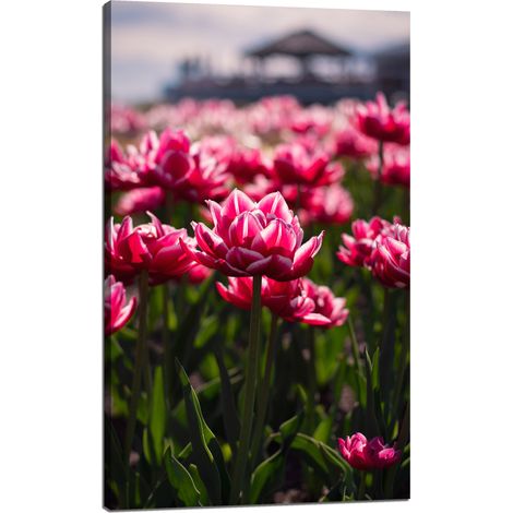 Stampa su tela con tema botanico: tulipani, fiori, 60x100 cm, bouquet di fiori