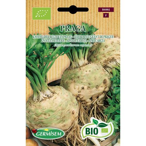 Bio Graines Céleri-rave Géant de Prague (1/2)