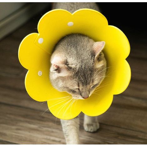 Collier de protection pour chat - Collier de protection pour chien - Collier pour chat - Animaux - Collier pour chien  Fleur jaune (1/4)