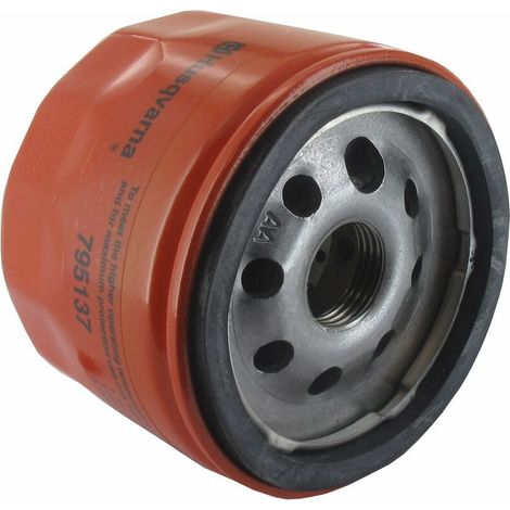 Filtre À Huile - 1 Pièce - Référence 798576 - Pour Moteurs Briggs Et Stratton Séries 21R702 Et 21R707 (1/2)