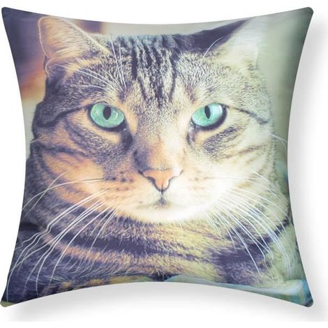 Housses de Coussin - AVIZAR - Lot de 2 - 40x40 cm - Motif Chat Shorthair - Multicolore (1/5)