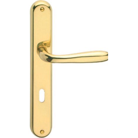 maniglia serie Goccia con placca in lega oro lucido quadro 8/70 mm