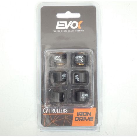 Variomatik-Rolle EVOK für Roller Malaguti 50 Crosser LC Neu (1/4)
