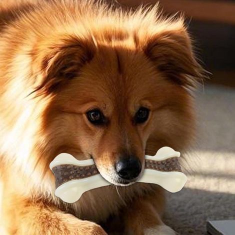 Os à mâcher pour chien, jouet à mordiller pour chiots et chiens adultes, accessoire apaisant et anti-stress pour chiens de toutes tailles (1/5)