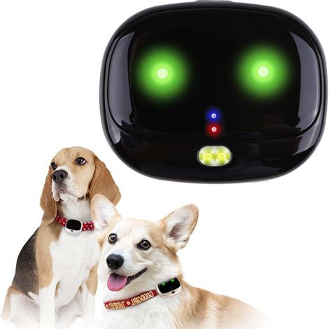 Traceur GPS 4G pour Chien, Collier GPS Anti-Fuite Étanche Mini pour Localisation d'Animaux (1/5)