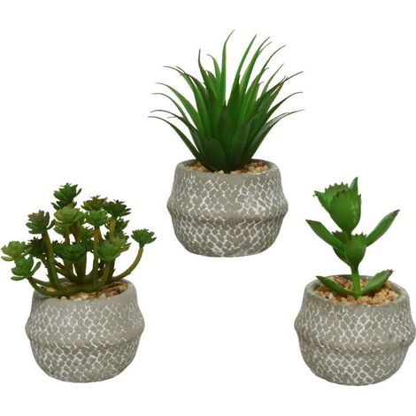 Pianta grassa artificiale 8,5x8,5x h14 cm assortite
