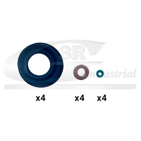 3RG 87209 KIT INYECCION (12PCS)