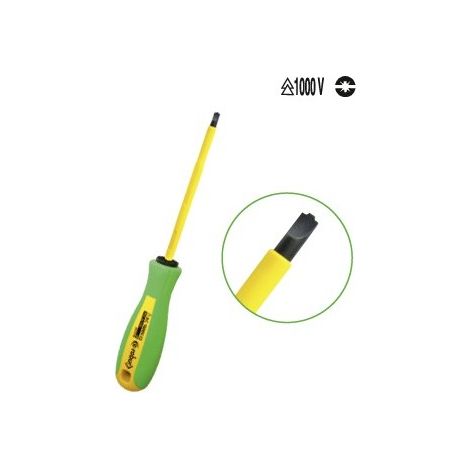 E-ROBUR - 221128 - CRUCIPLAT N2 X 100 BM (1/2)