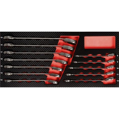 Projahn GearTech Schlüssel Einlage umschaltbar 12-tlg. (1/2)