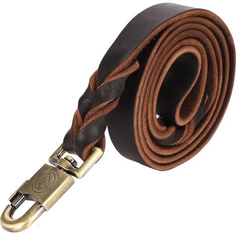 1 collier et laisse pour chien en cuir souple en chaîne tressée pour animaux de compagnie (2,5 x 150 cm) (1/5)