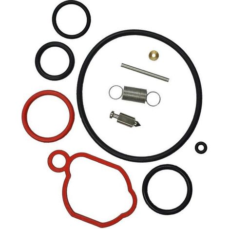 S-giant Kit de réparation de carburateur compatible avec Briggs & Stratton 590589 08P502 093J02 09P602. (1/5)