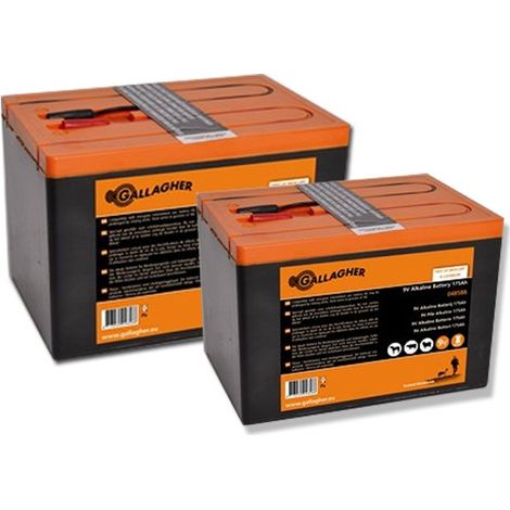 Batterie alcaline pila GGL da 9V Gallagher per eletrificatori a batteria e recinzioni elettriche: Batterie 9V 55Ah