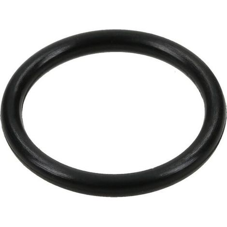 O-Ring von Briggs und Stratton  692532