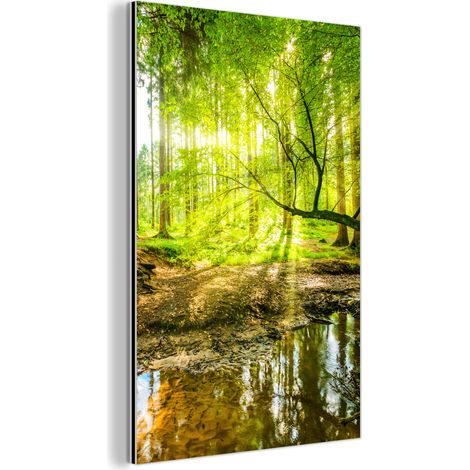 CUADRO DE METAL Bosque - Paisaje - Agua - Árboles - Sol - Verde - Naturaleza Cuadros Para Dormitorio 60x90 (1/5)