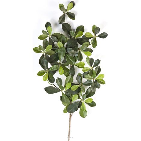 Branche Olivier oriental artificiel H 55 cm 117 feuilles
