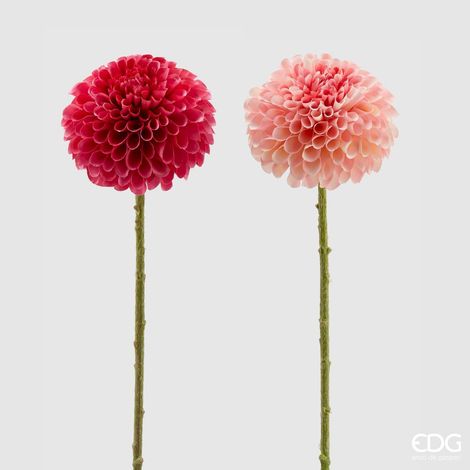 EDG Decoro Dalia Rex 2 Colori Assortiti H 65 (1/5)