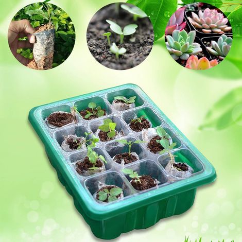 Ensemble de plateaux de semis respirants 6/12 trous, ensemble de couvercles pour semis de légumes et culture de semis (12 trous) (1/5)