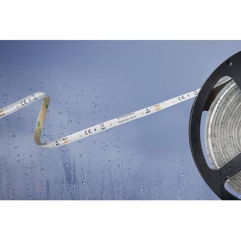 Ruban LED Barthelme 51540428 avec câble à extrémités ouvertes 12 V 5 m N/A 1 pc(s) (1/2)