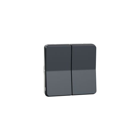 Schneider MUR35326 Mureva Styl - Pulsador doble modular - IP55 - gris