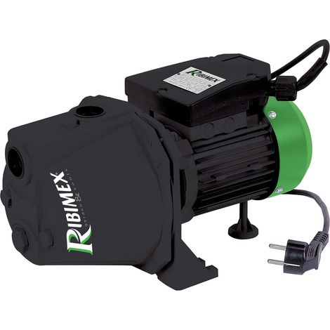 Elettropompa Autoadescante 1 Hp Ribimex Prjet in Alluminio