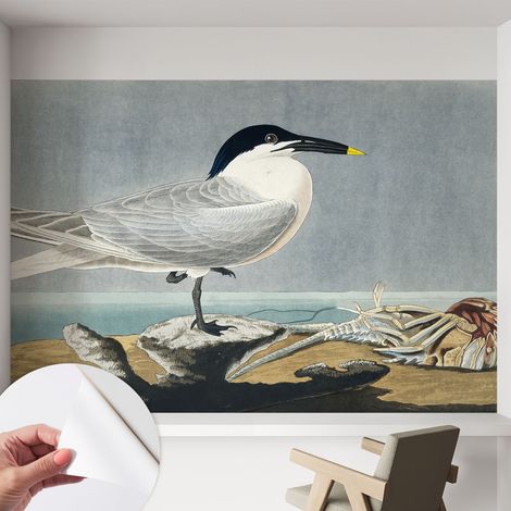 Fotomurale adesivo - parete decorativa - decorazione casa - stile moderno parete - Eleganza ornitologica 152x104 cm (1/5)