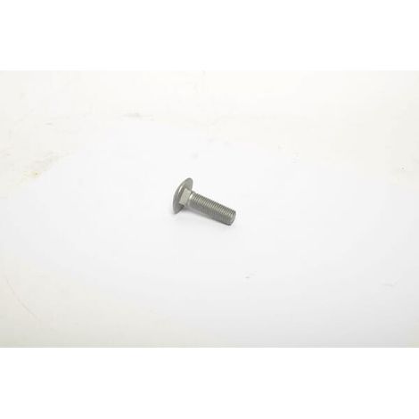 Vite testa piatta M16x55-10,9 LEMKEN 3012211 (1/2)