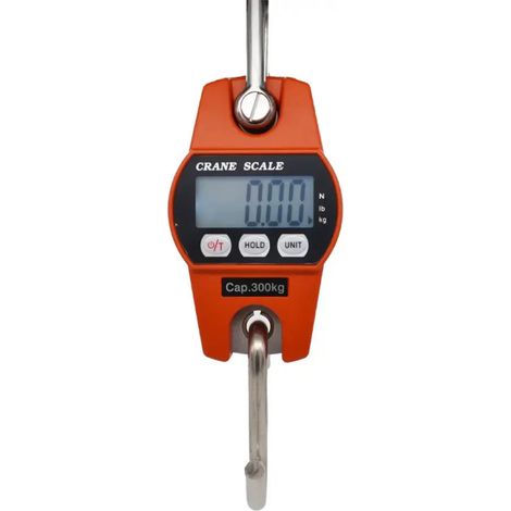Dynamomètre digital - 100 kg x 50 g