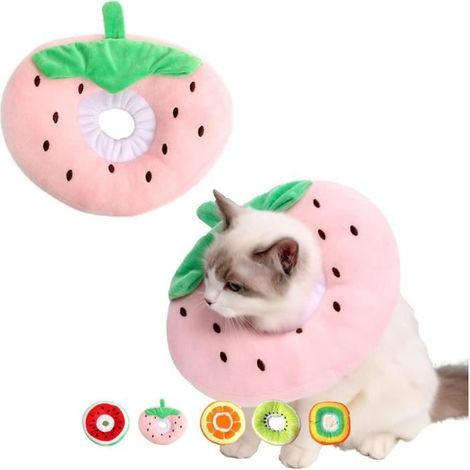 Collerette Chien Chat Collier Récupération Comfy Cone M - Blanc - Anti-Léchage et Anti-Morsure (1/4)