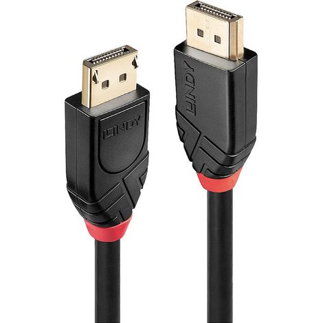 Lindy 41078 câble DisplayPort 10 m Noir (1/4)