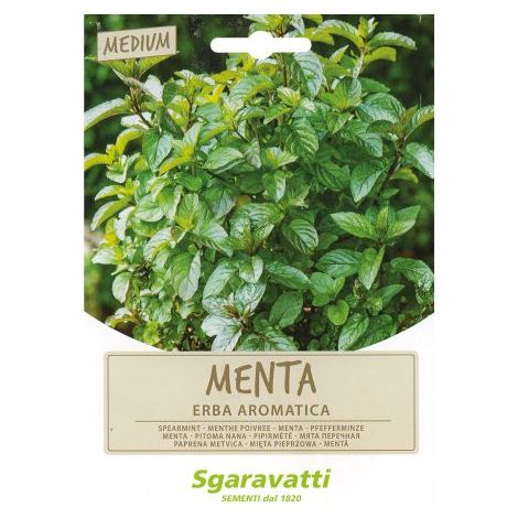 SEMI PER ORTAGGI E VEGETALI menta spicata