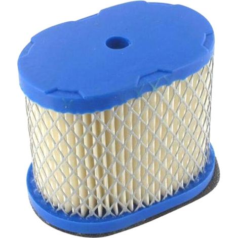 Filtro Aire compatible con B&S 690610, 498596  Ref 300186