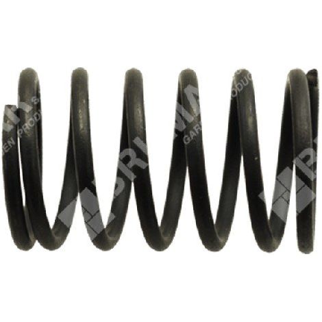 Ventilfeder für DAYE-Motoren - DAYEE - 037991