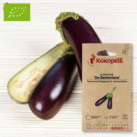 Aubergine De Barbentane