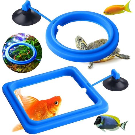 Anneau d'alimentation pour poissons, 2 pièces, accessoires pour aquarium, cercle d'alimentation pour guppys, bettas, poissons rouges et tortues (bleu) (1/5)