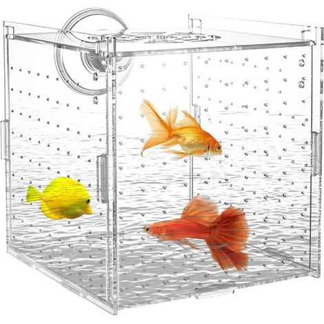 Breeding Box, Acrylic, Suction Cups, Divider, For Aquarium, Shrimp, Guppies, Fry (1/5)