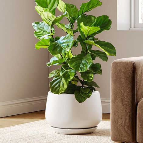 Ceramic Flower Pot, 30cm Plant Pot with Drainage Hole and Saucer, Durable Indoor Flower Pot for Modern Home Decoration, White (1/5)