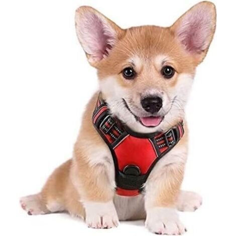 Harnais Chien S Arnais Rouge Anti Traction Réfléchissant Gilet Réglable pour Chien, Attache Devant Crochet de Laisse pour Randonnée Trajet Voiture, Bouledogue Français, Berger Australien-Enlé