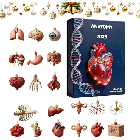Adventskalender 2025, 2D-Acryl-Anhänger, 24 Tage Adventskalender-Ornamente mit Motiven der menschlichen Anatomie für Ärzte, Krankenschwestern, Lehrer, Studenten, Geburtstage, Schulabschlüsse und Feie (1/5)