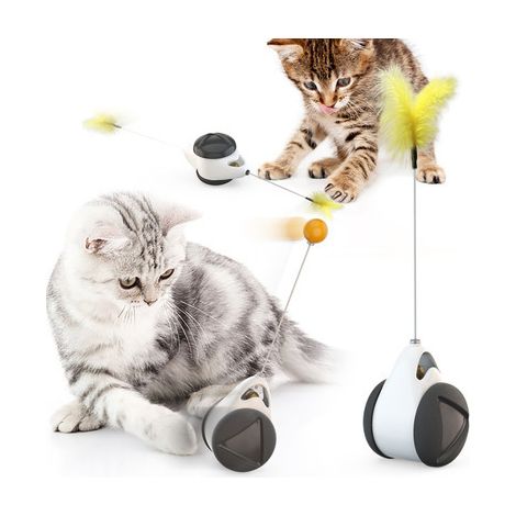 Voiture d'équilibre pour chat, jouet amusant pour chat, noir