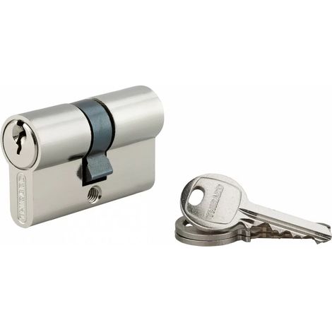 Thirard – Cylindre de serrure cranté 25 x 25 mm nickelé – Mécanisme à 5 goupilles – Panneton anti-arrachement – 3 clés en acier nickelé