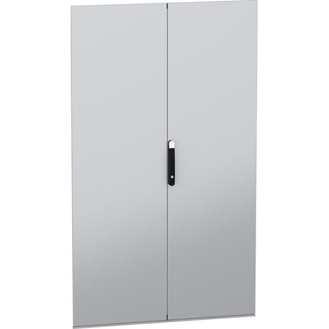 Porta piena doppia, PanelSeT SFN, Spacial SM, per armadio elettrico H2000 W1200mm - NSYSFND20122D
