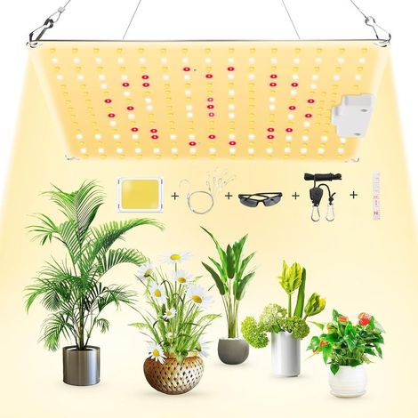Lampe LED Horticole, 600W Lampe Horticole LED Spectre Complet, Usine Élèvent la Lumière Lampe de Croissance pour la Croissance et Floraison Des Plantes en Intérieur Hydroponic (1/5)