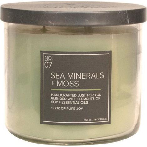 Candele profumare ''VIillage Candle'' forfumatore per ambienti, candela in soia 17 once -IVY ROSE (1/4)
