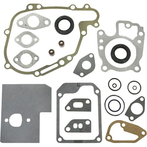 Serie guarnizioni Vecchi Vanguard 5 HP verticali 104700 -320026