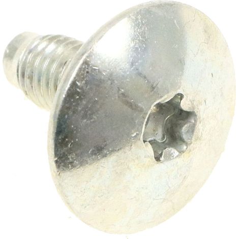 Ersatzteil - Trommelachsen-Schraube, original -  - WHIRLPOOL, BAUKNECHT, INDESIT, LADEN, IGNIS, PROLINE, FAR, ARISTON HOTPOINT, SIEMENS, PRIVILEG, CONSTRUCTA, BALAY, GORENJE, PITSOS, UPO, CYLINDA, TEG