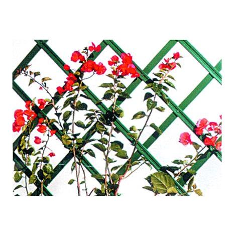 Traliccio Estensibile Per Rampicanti Mt 3 X 1 Col. Verde