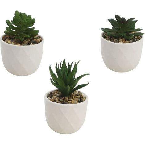 TRADE SHOP - Set 3pz Vasetto Ceramica Bianco Con Piantina Grassa Artificiale Assortita 8cm Casa 164223 - (1/2)