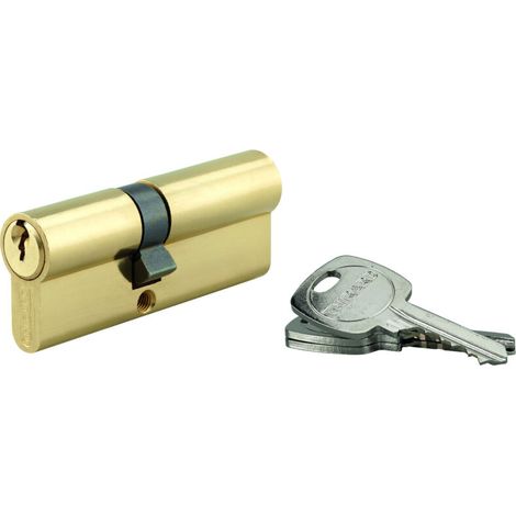 Cylindre de serrure double entrée 45x65mm – Protection anti-arrachement – 3 clés crantées – Laiton pour sécurité renforcée (1/2)