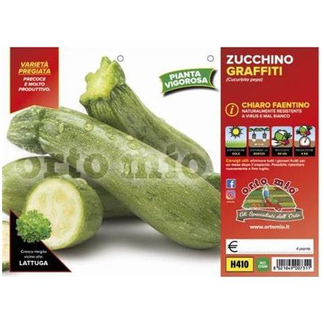 Zucchino Chiaro Faentino Graffiti ORTO MIO